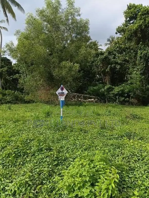 නාරම්මල ඉඩමක් විකිණීමට