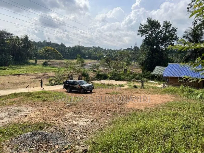 Land For Sale With Paddy Field View - Near Kadawatha