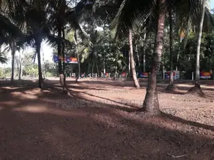 පාදෙණිය මහව ප්‍රධාන පාරෙන් ඉඩමක් විකිණීමට