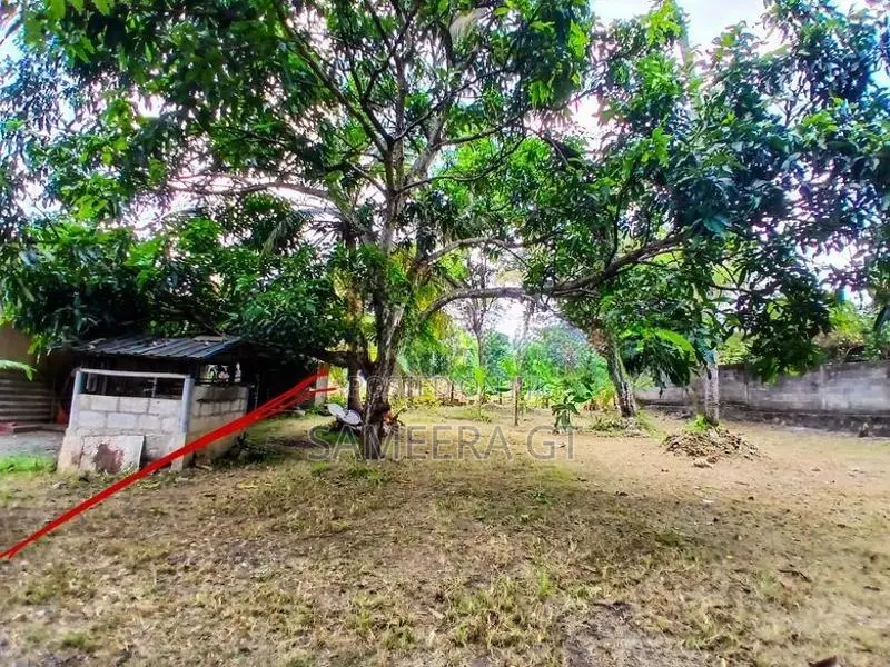 කුරුණෑගල ඉඩමක්