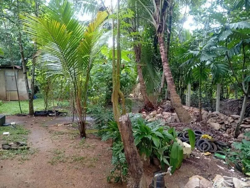 Land for Sale Narammala