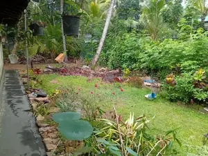 Land for Sale Narammala