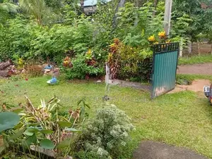 Land for Sale Narammala