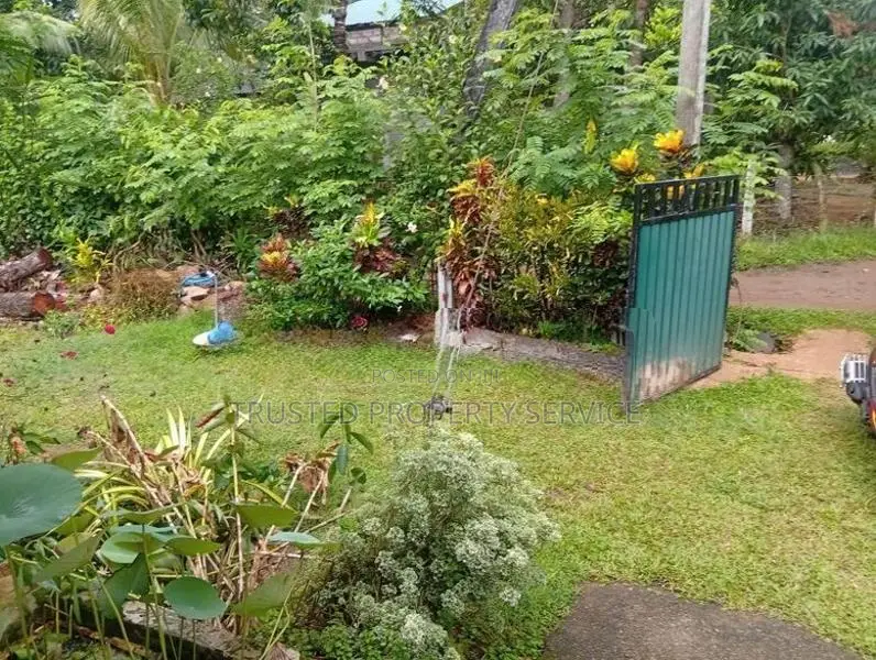 Land for Sale Narammala