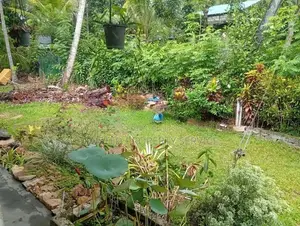 Land for Sale Narammala