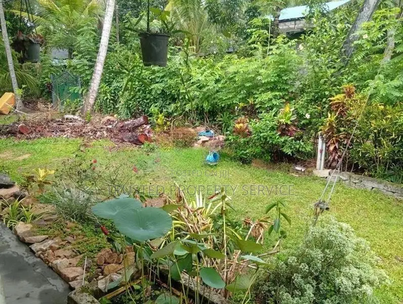 Land for Sale Narammala