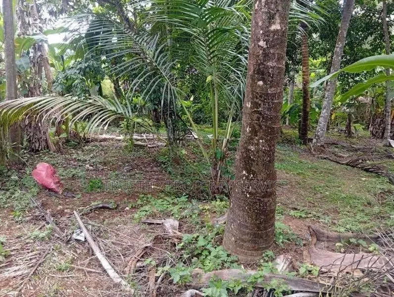Land for Sale පොල්ගහවෙල
