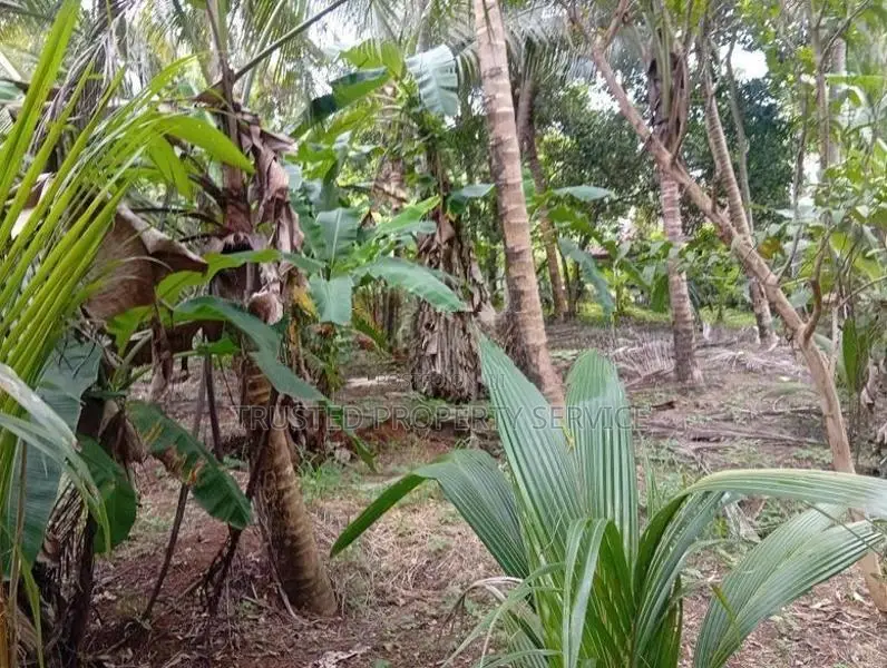 Land for Sale පොල්ගහවෙල