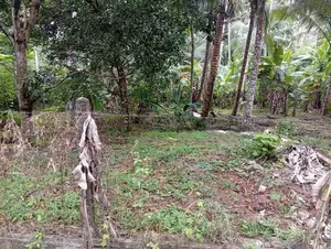 Land for Sale පොල්ගහවෙල