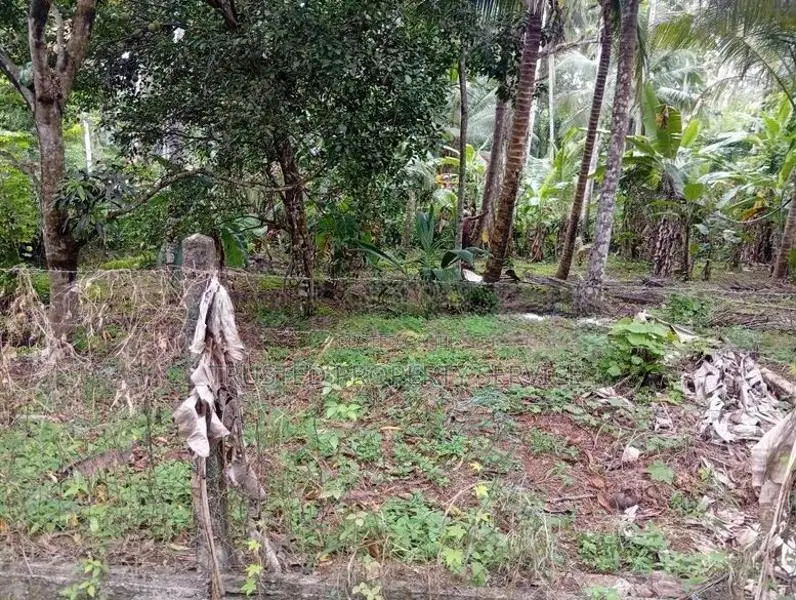Land for Sale පොල්ගහවෙල