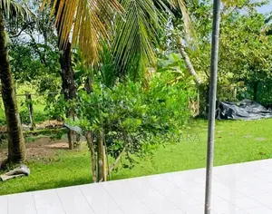 53p House Facing Paddyfield at Kottawa