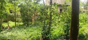 Kesbewa - Bare Land for sale