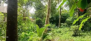 Kesbewa - Bare Land for sale