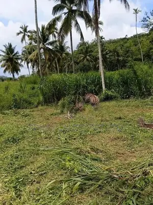 මිගමුව පාරෙන් ඉඩමක් විකිණීමට මැටියගනේ