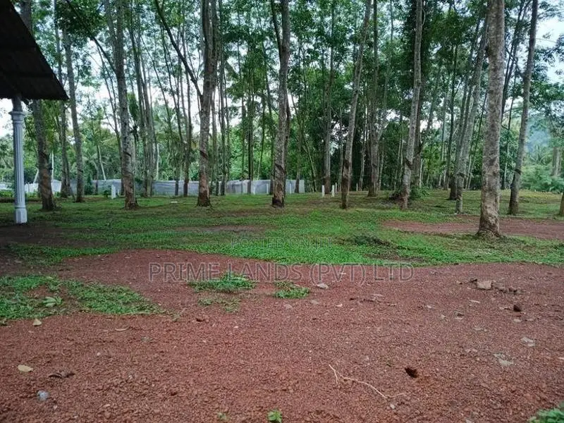 දිව්ලපිටිය ඉඩම විකිණීමට