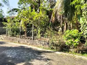 Super Land for Sale in Thalahena Ds10180
