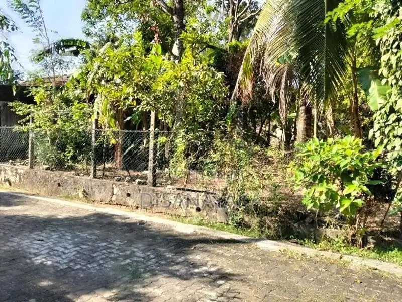 Super Land for Sale in Thalahena Ds10180