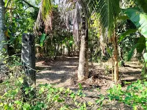 Super Land for Sale in Thalahena Ds10180