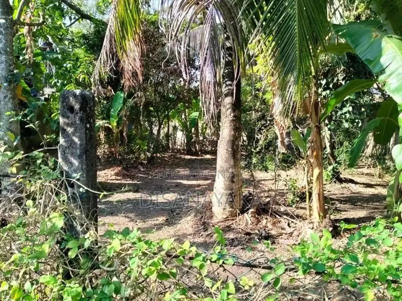 Super Land for Sale in Thalahena Ds10180