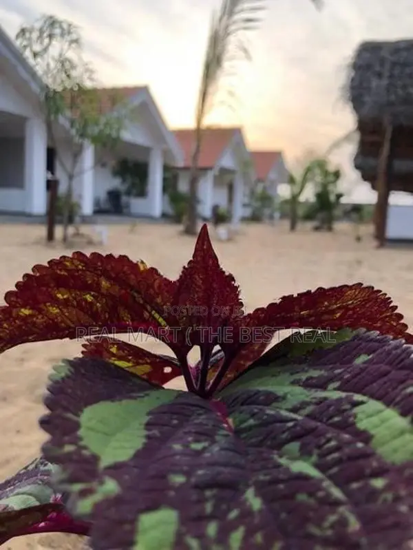 ARUGAM BAY : (5,000 SQFT) 5-AC-CABANA BEACH HOTEL FOR SALE