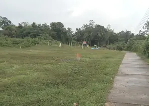 හොරණ නගරය සමීපයෙන් වටිනා බිම්කොටස්