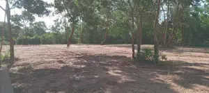 Land for Sale in Tangalla