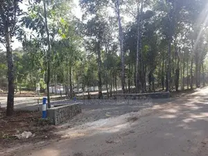 Plots for Sale Near Sinharagama Water World