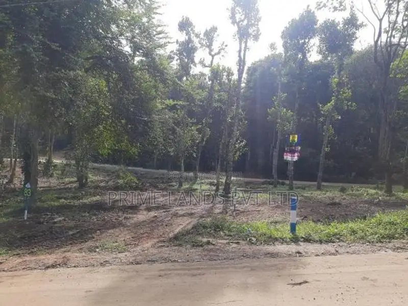 Plots for Sale Near Sinharagama Water World