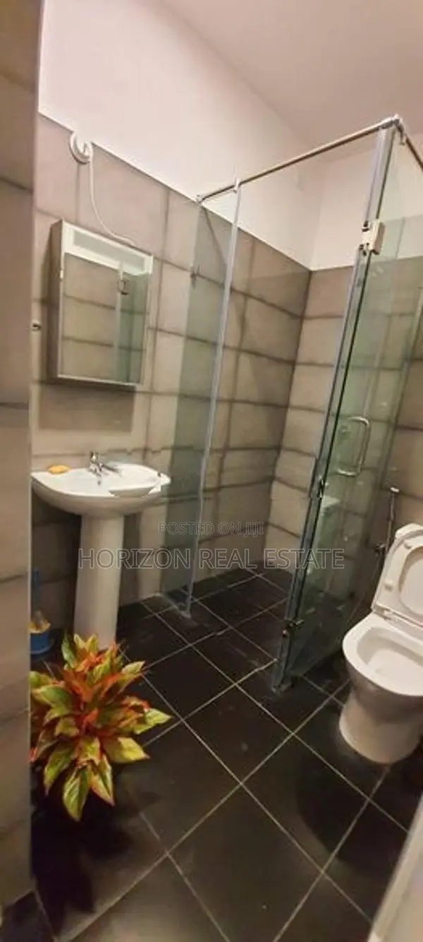 Two bedroom furnished apartment for rent in oval view Colombo 8