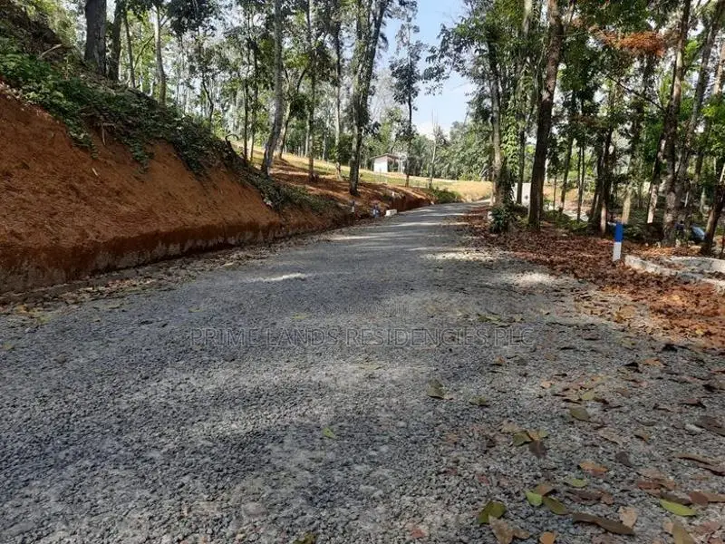 Land for sale in Nelundeniya
