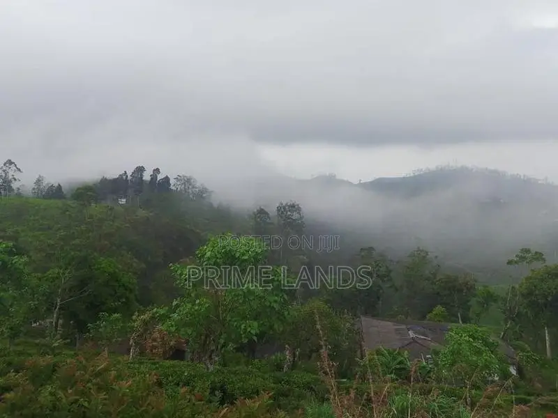 Mountain View Land for sale in Kandy Nillabe