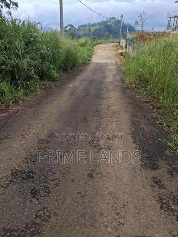 Valuable Land for Sale in Pussellawa Wahurupitiya