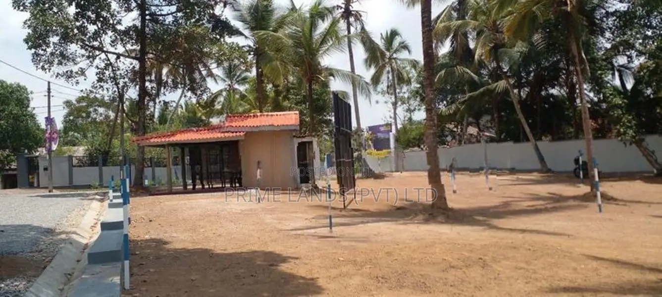 කඩවත ඉඩම