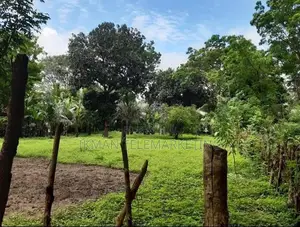 Land for Sale in Kataragama