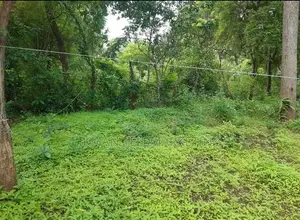 Land for Sale in Kataragama