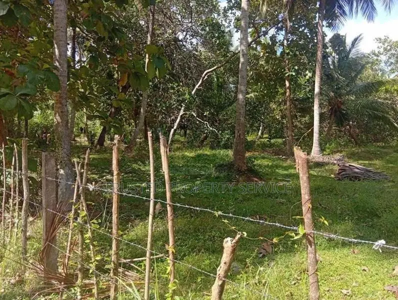 Land for Sale Narammala