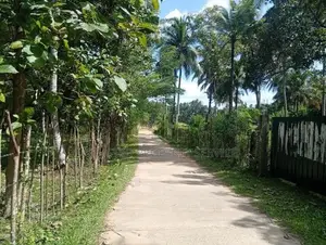 Land for Sale Narammala