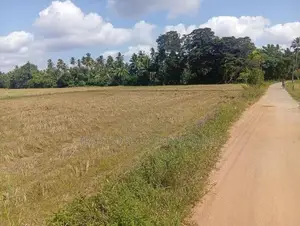 Land for Sale Narammala
