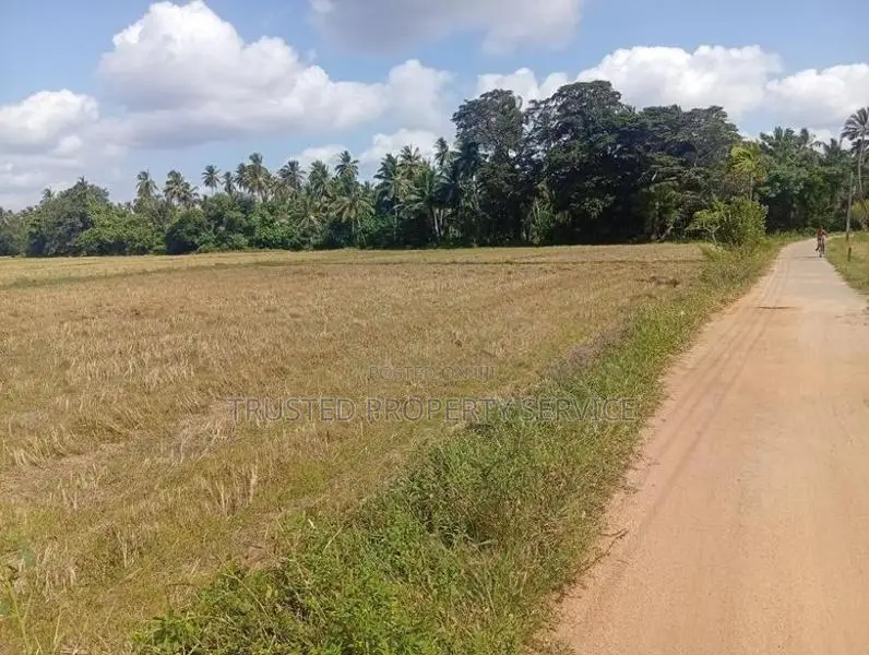 Land for Sale Narammala