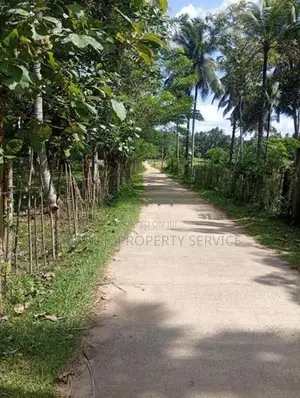 Land for Sale Narammala