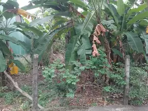 Land for Sale in Malabe - Sumudu Mawatha