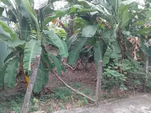 Land for Sale in Malabe - Sumudu Mawatha