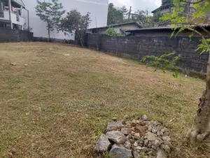 Super Land for Sale Thalapathpitiya