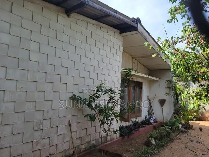 Twin House For Sale In Moratuwa