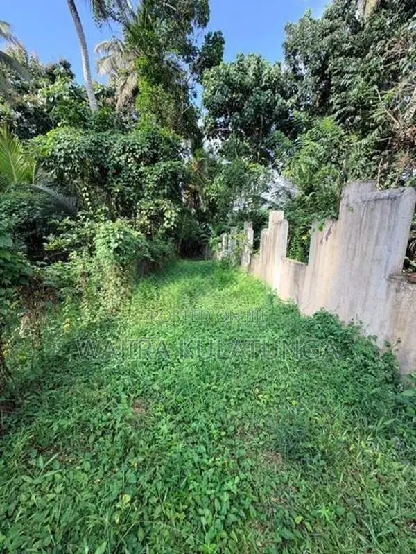 Beautiful Residential Land for Sale – Polgahawela