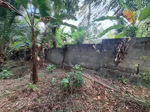 Beautiful Residential Land for Sale – Polgahawela