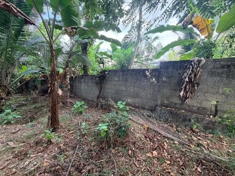 Beautiful Residential Land for Sale – Polgahawela