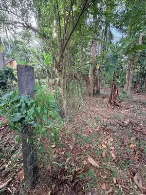 Beautiful Residential Land for Sale – Polgahawela