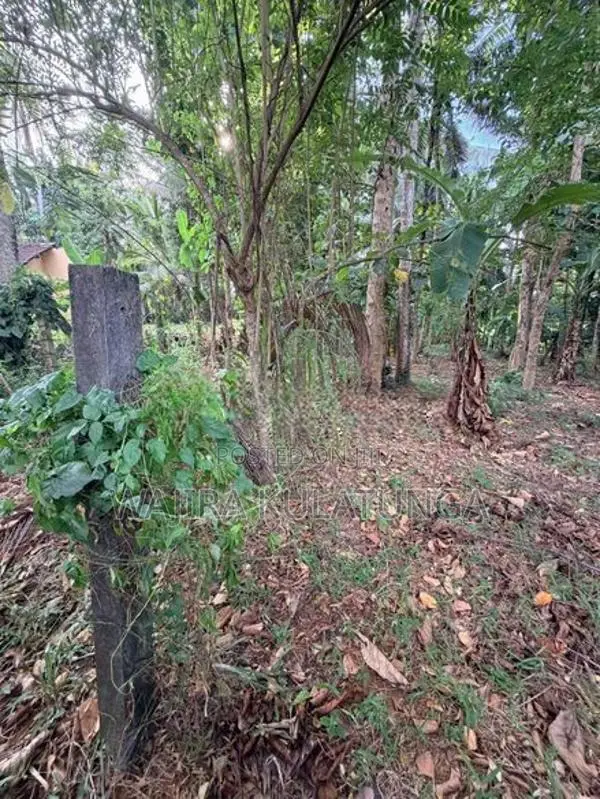 Beautiful Residential Land for Sale – Polgahawela