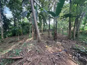 Beautiful Residential Land for Sale – Polgahawela